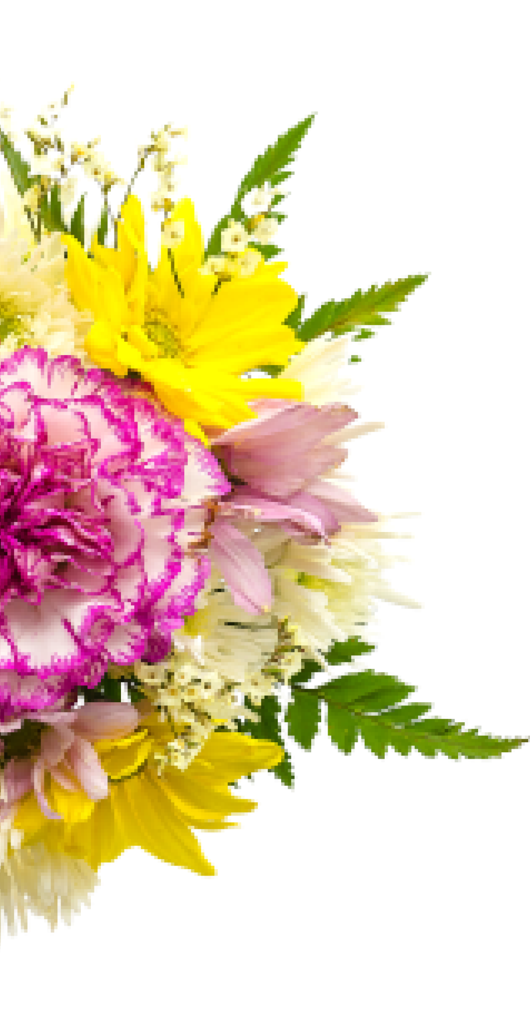 Decorational Flowers