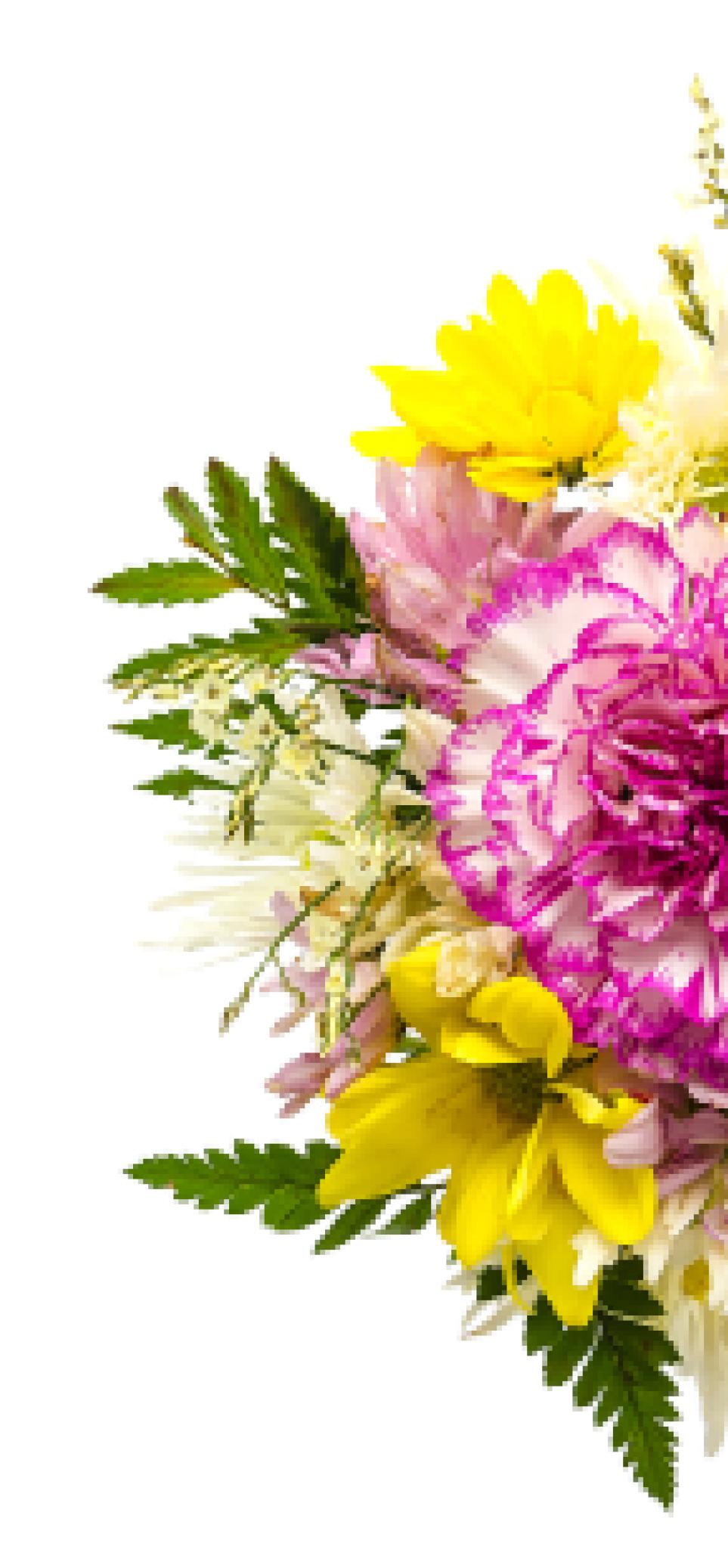 Decorational Flowers